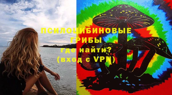 шишки Гусиноозёрск