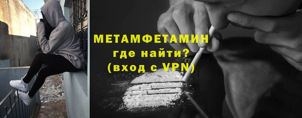 гидра Горняк