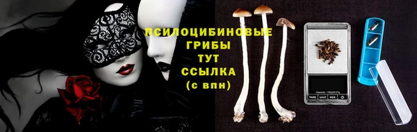 метадон Гусь-Хрустальный