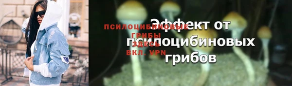 шишки Гусиноозёрск