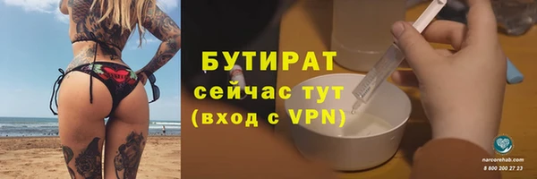 шишки Гусиноозёрск