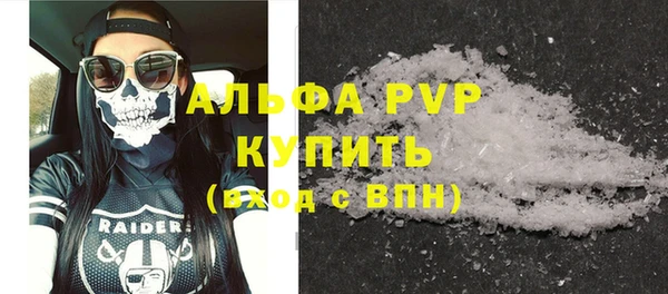 шишки Гусиноозёрск