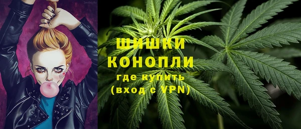 гидра Горняк