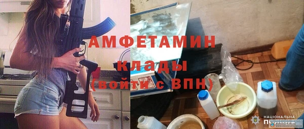 дмт Гусев