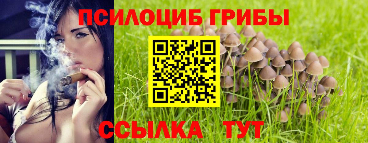 Alpha PVP Можга