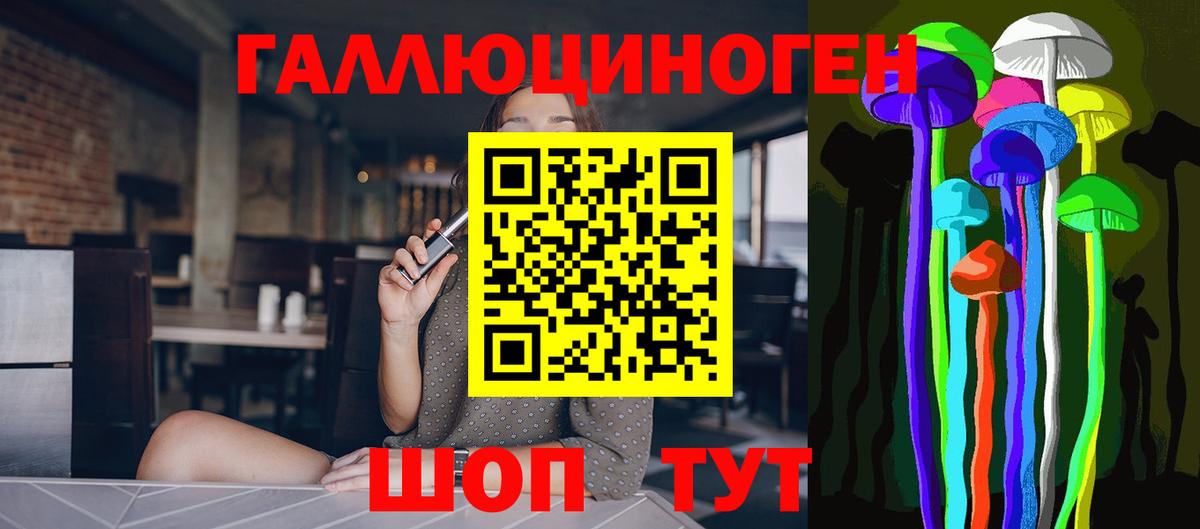 Галлюциногенные грибы Psilocybine cubensis  Можга  Псилоцибиновые грибы MAGIC MUSHROOMS 