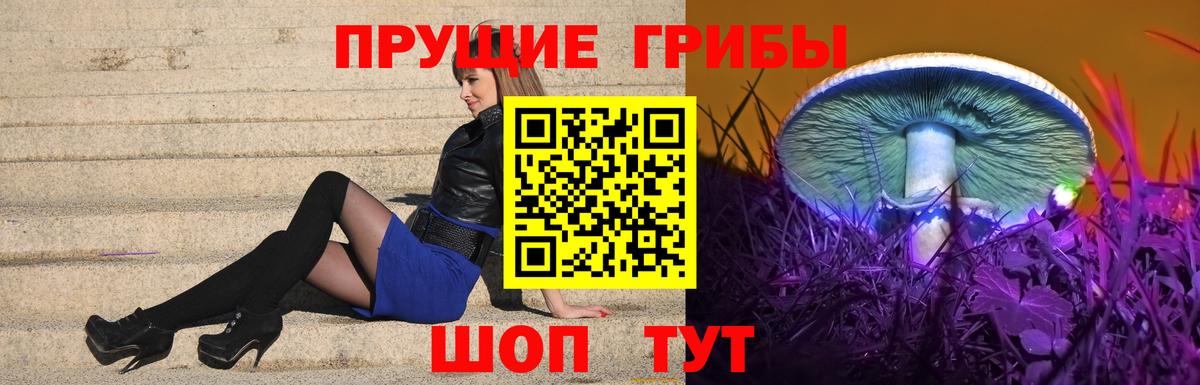 Можга  Псилоцибиновые грибы Psilocybine cubensis  Вход с VPN  наркотики  Псилоцибиновые грибы Psilocybe 